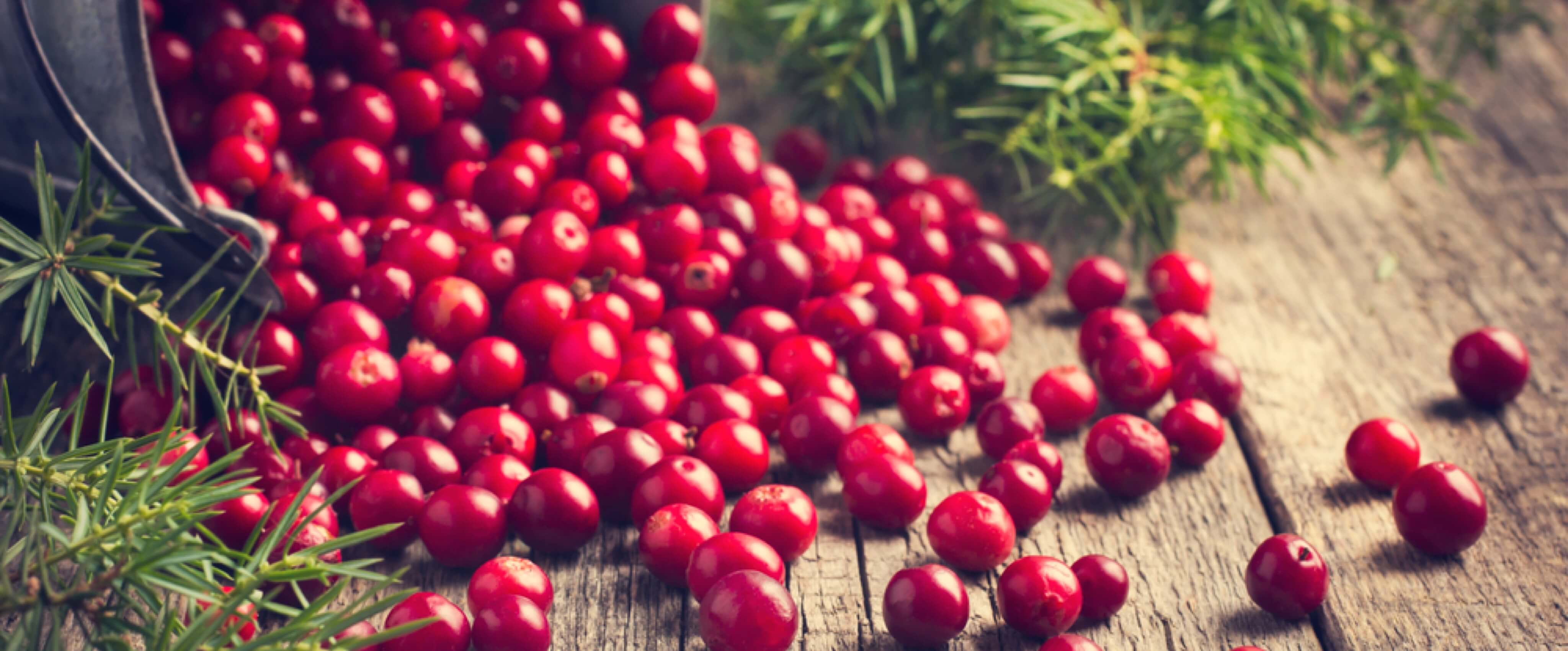 http://www.codeage.com/cdn/shop/articles/Cranberry_ingredient.jpg?v=1679417044