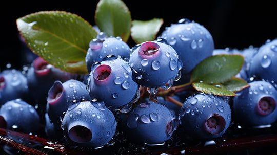 Blueberries ingredients nutrition and antioxidants