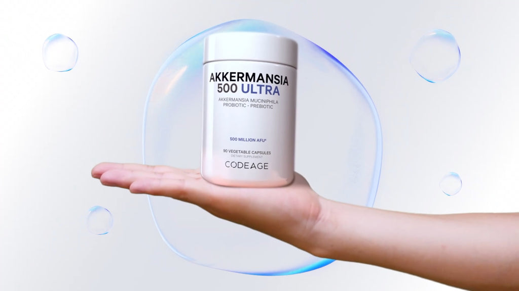 Elevate Your Digestive Wellness With Akkermansia and Chicory Inulin