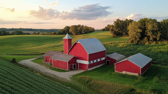 Understanding Grade A Dairy Farms and the Value of Colostrum Powder