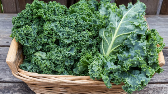 The Power of Kale: A Nutritional Superstar