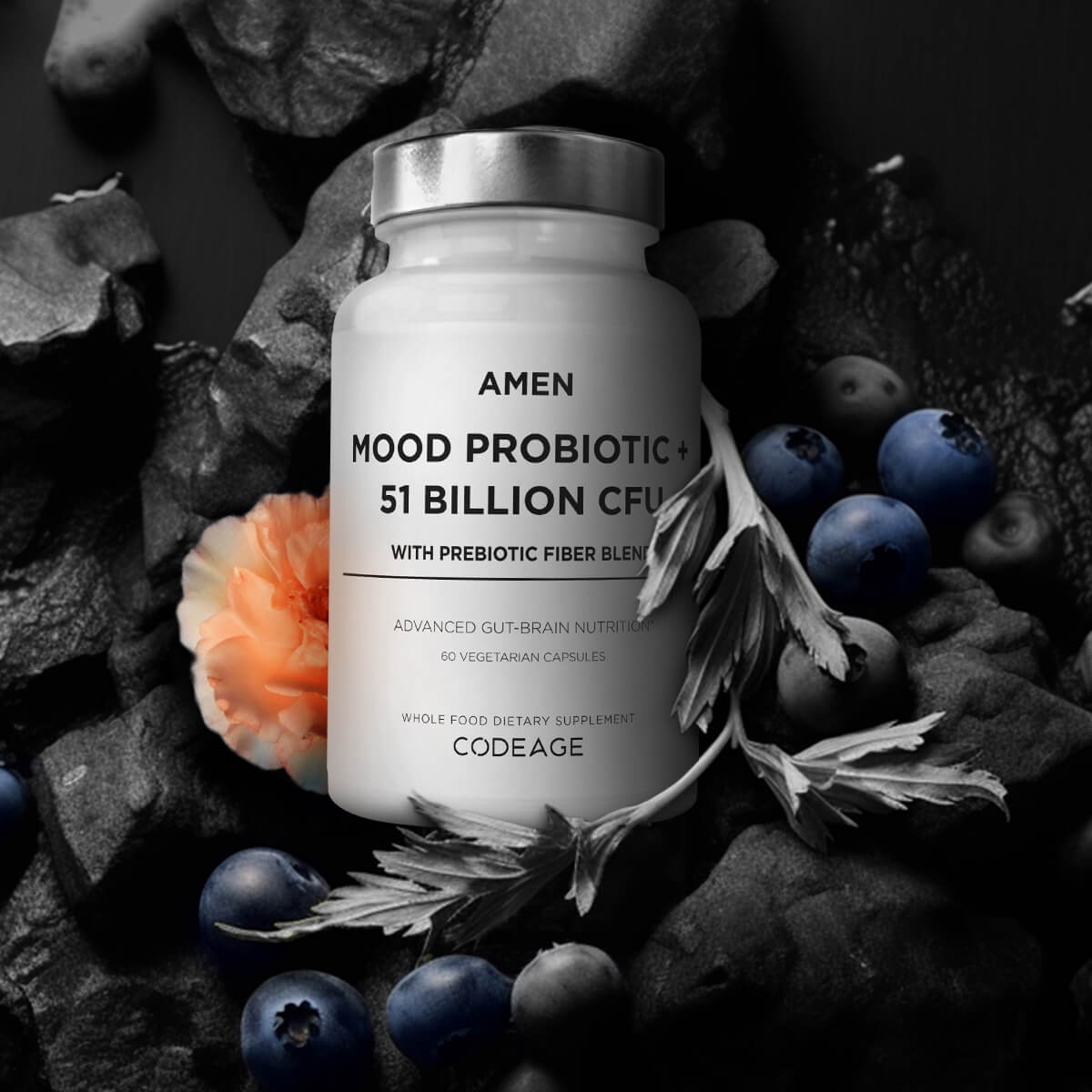 Amen Mood Probiotics supplement 15 strains gut and brain connect