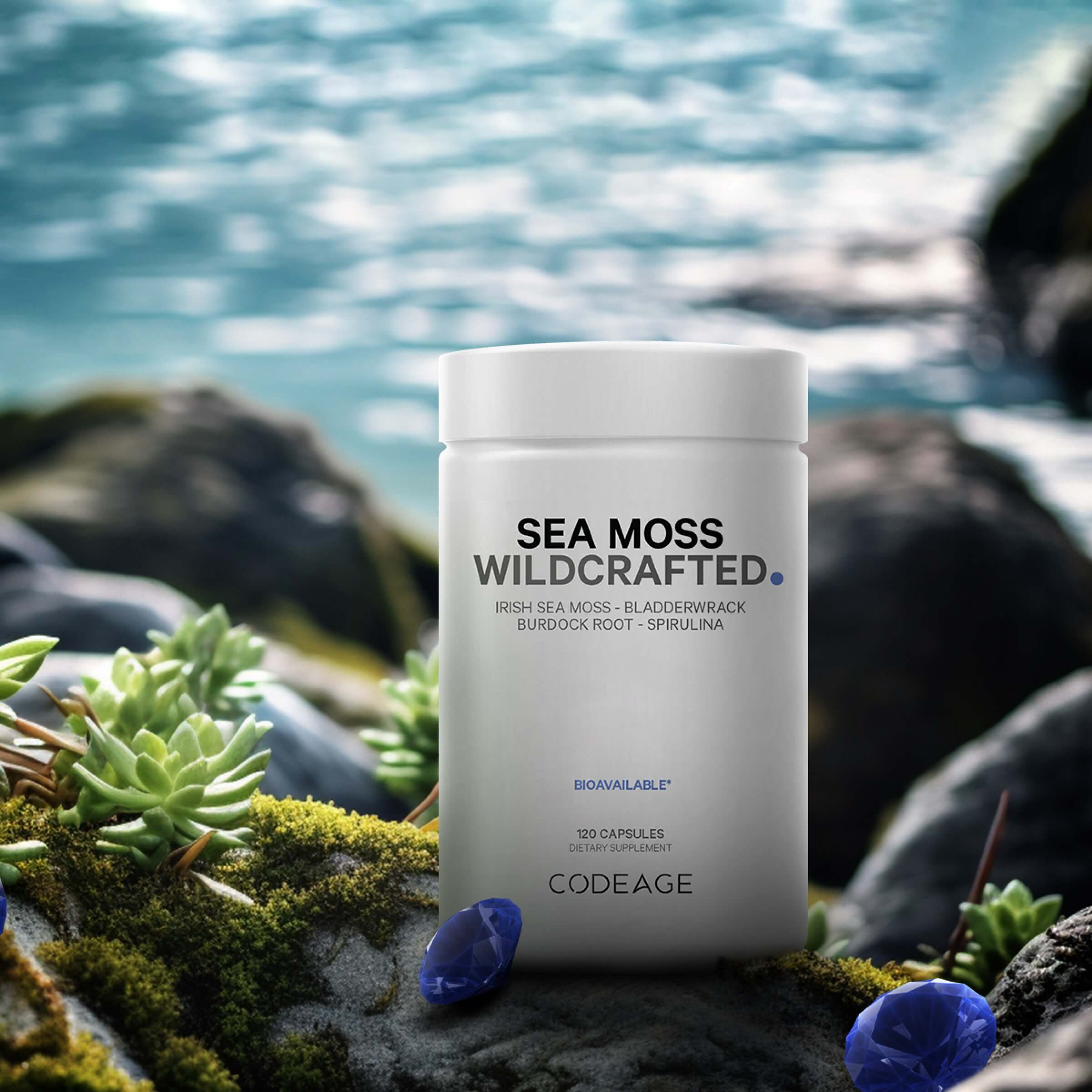 Codeage Sea Moss Supplement Bladderwrack Burdock Irish Sea Moss algae 2 month supply