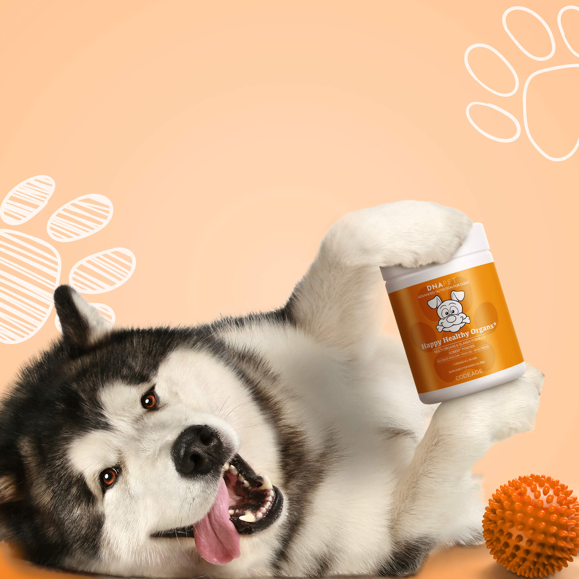 DNA PET Happy Healthy Organs Dogs Supplement dog bovine sources