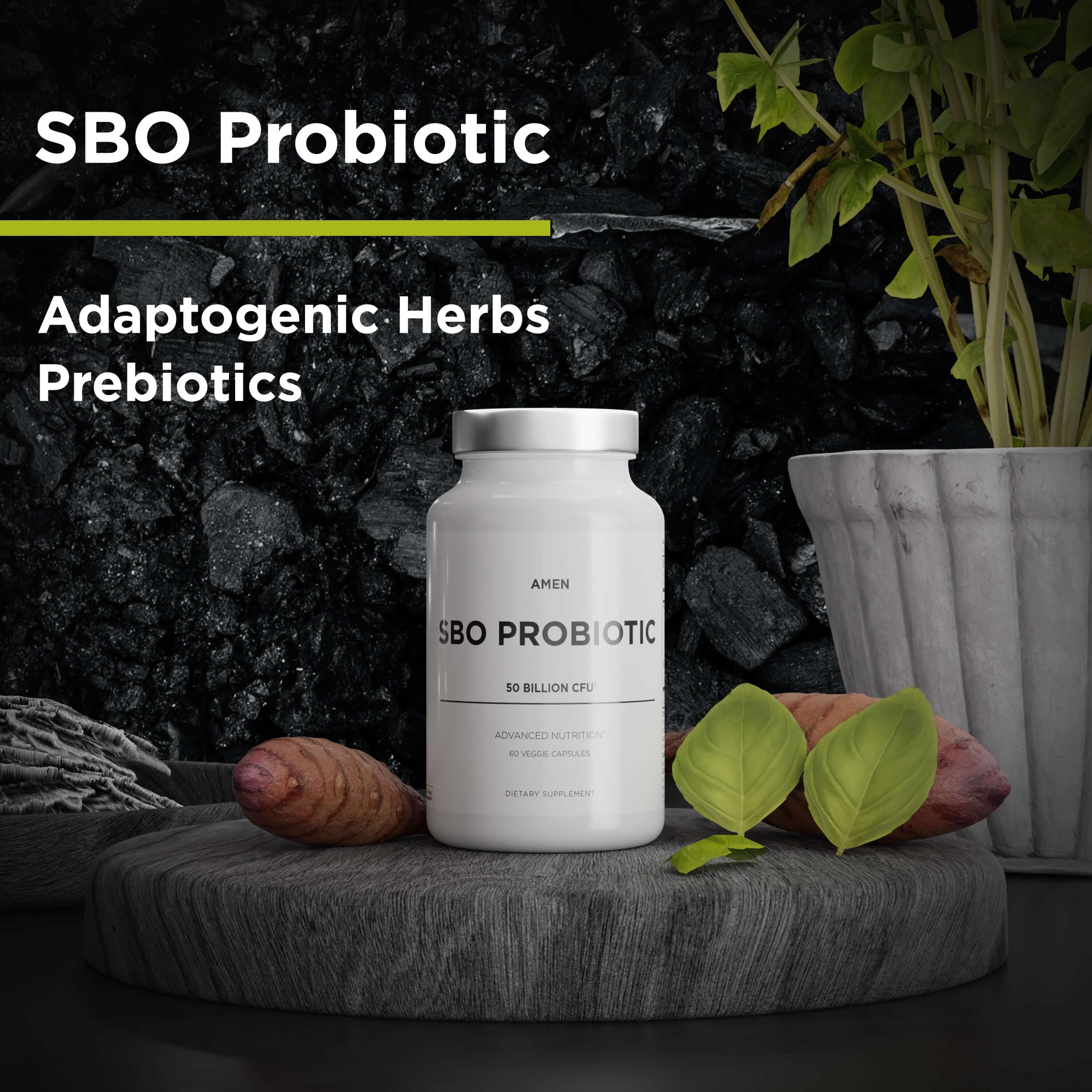 Amen SBO Probiotic Capsules Supplement, 50bn CFUs, Adaptogenic Herbs ...